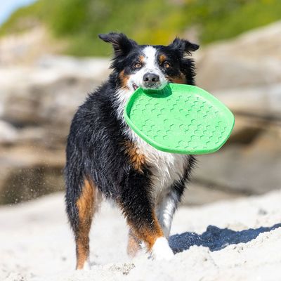 Project Hive – Hive Disc – Frisbee flottant à lancer et tapis de léchage