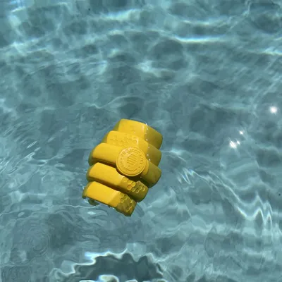 Project Hive – Hive Chew Toy – Jouet flottant à remplir pour chiens