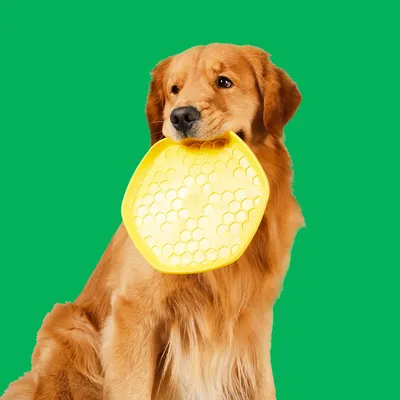 Project Hive – Hive Disc – Frisbee flottant à lancer et tapis de léchage