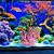 Pet Planet Aquariums Miniatures De Corail Mou