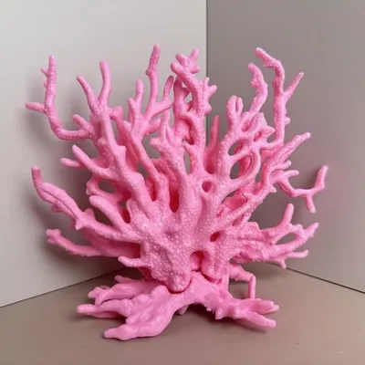 Pet Planet Aquariums Miniatures De Corail Mou