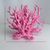 Pet Planet Aquariums Miniatures De Corail Mou