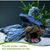 Pet Planet Animaux D'eau Décor En Résine