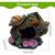 Pet Planet Animaux D'eau Décor En Résine