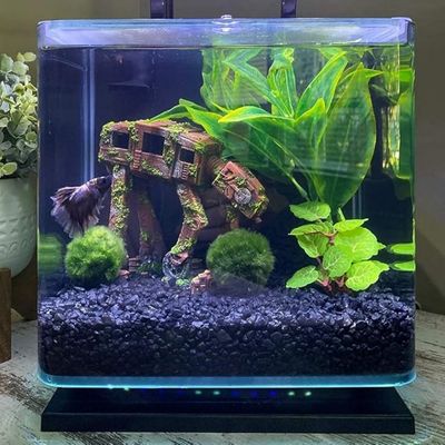 Pet Planet Poissons Décoration Aquarium