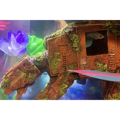 Pet Planet Poissons Décoration Aquarium