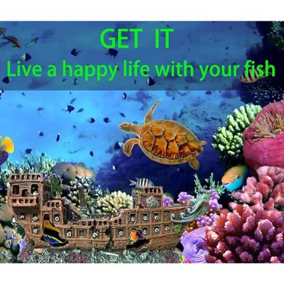 Pet Planet Poissons Décoration Aquarium
