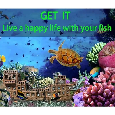 Pet Planet Poissons Décoration Aquarium