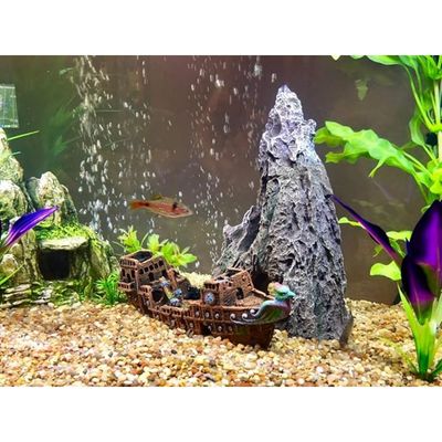 Pet Planet Poissons Décoration Aquarium