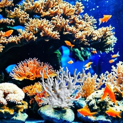 ZooVenture Décoration d'aquarium pour aquariums petits à moyens