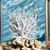 Pet Planet Aquariums Miniatures De Corail Mou