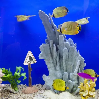 Pet Planet Aquariums Figurines En Résine