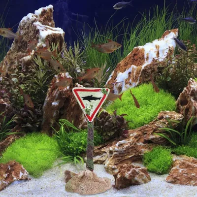 Pet Planet Aquariums Figurines En Résine