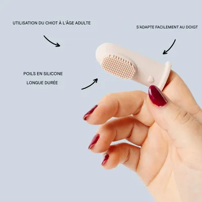 ZooVenture Groupe de deux brosses silicone pour chien