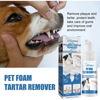 IntiMeg Dentifrice pour chiens et chats
