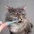 Pet Planet Brosse à dents en silicone pour chien et chat