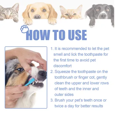 IntiMeg Dentifrice pour chiens et chats