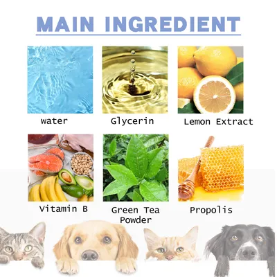 IntiMeg Dentifrice pour chiens et chats