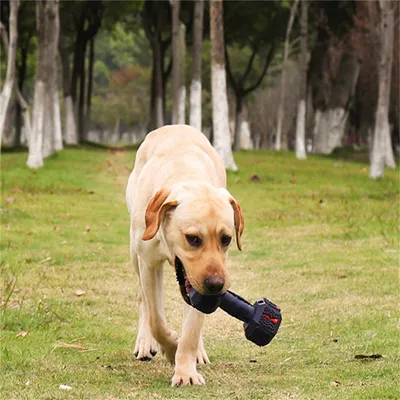 Pet Planet Hantel en caoutchouc naturel pour chiens