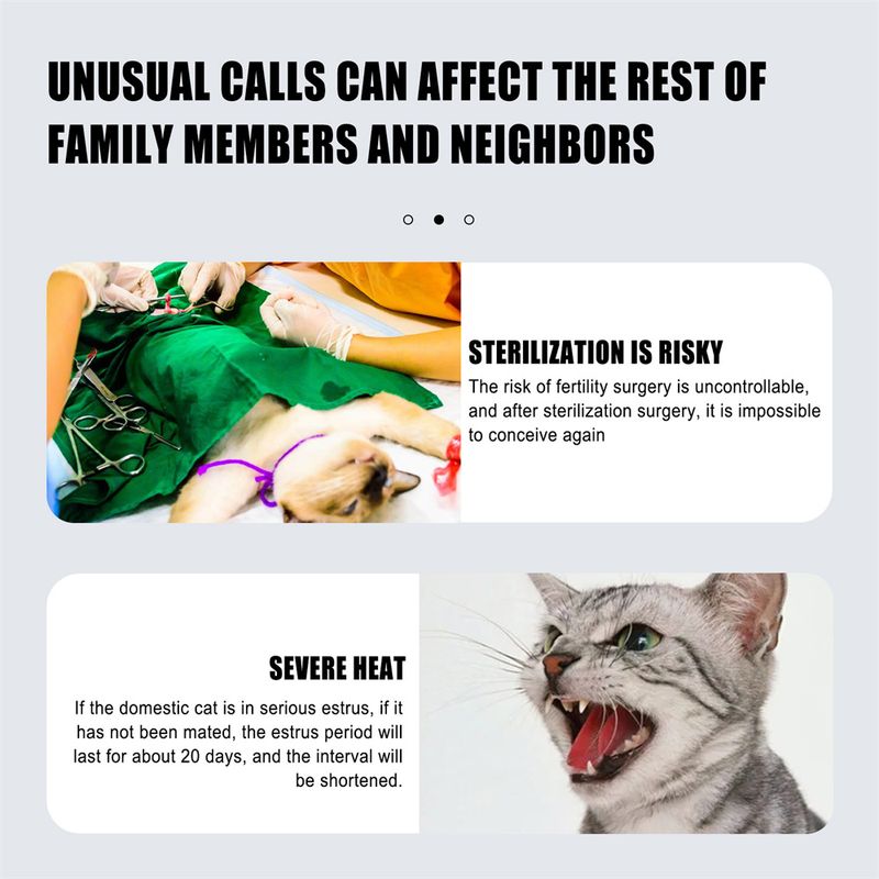 IntiMeg Spray anti - anxiété pour chat