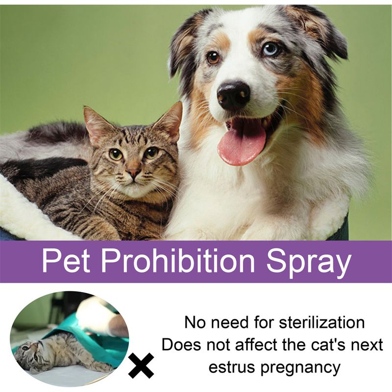 IntiMeg Spray anti - anxiété pour chat