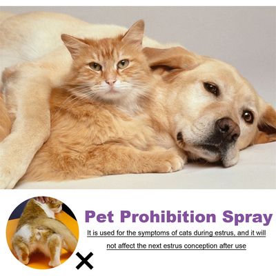 IntiMeg Espray ansiolítico para gatos