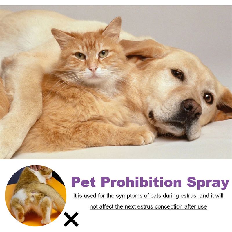 IntiMeg Spray anti - anxiété pour chat