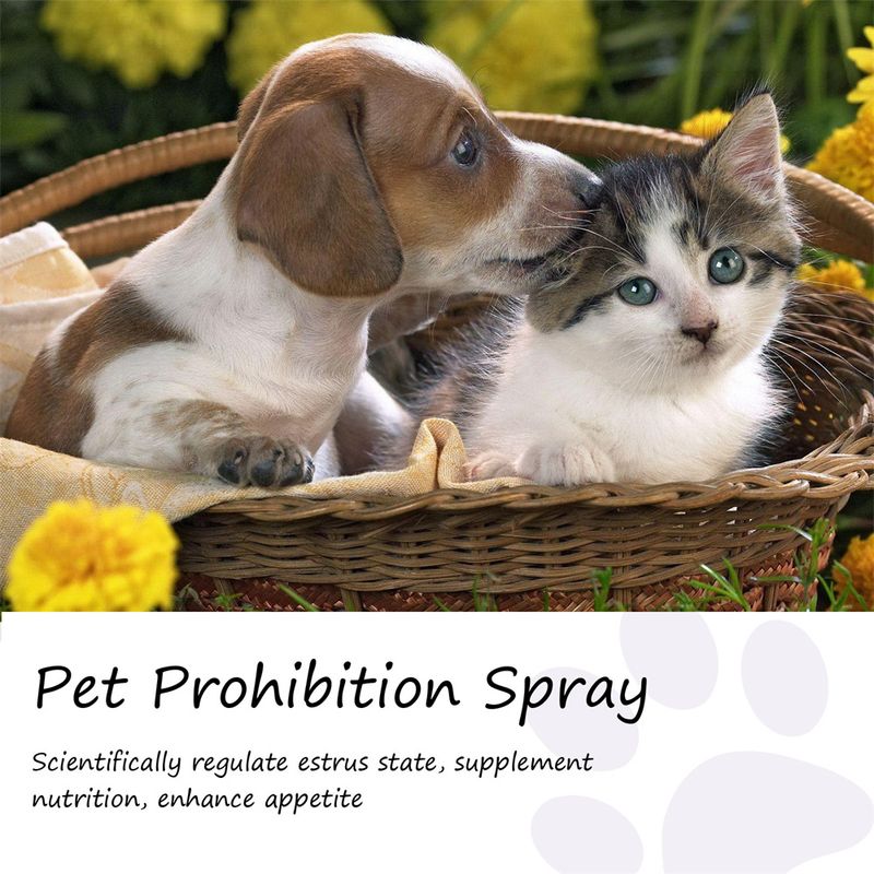 IntiMeg Spray anti - anxiété pour chat