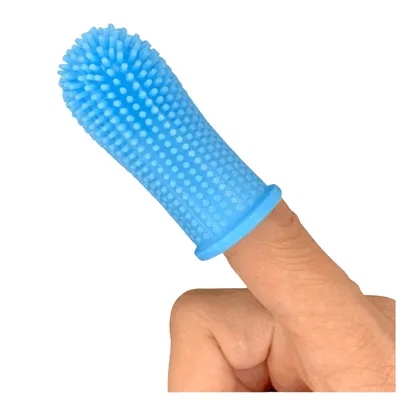 Petopia Kit de brossage des dents pour chien