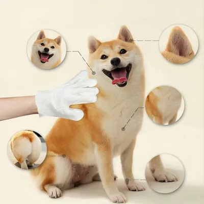 Petopia Gants de nettoyage pour chien et chat