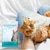 Petopia Gants de nettoyage pour chien et chat