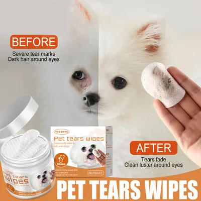 IntiMeg Lingettes pour les yeux pour chat en chien