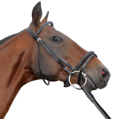 Petopia Mors de cheval