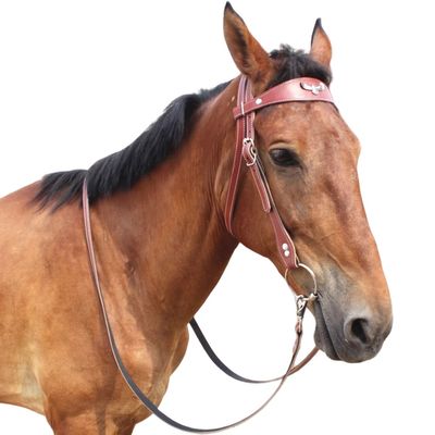 Petopia Mors de cheval