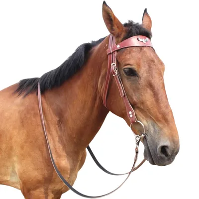 Petopia Mors de cheval