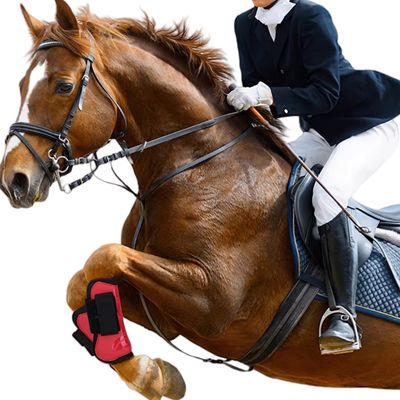 Petopia Mors de cheval