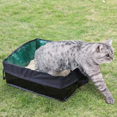 Petopia  Boîte à litière pliable pour chat