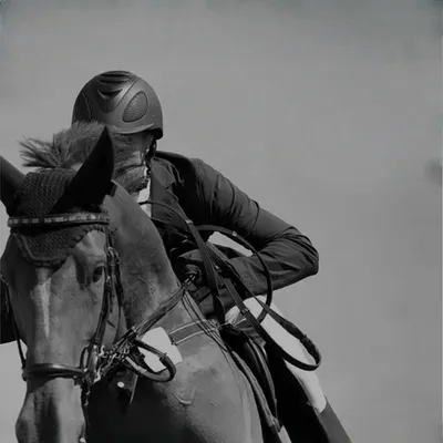 Petopia Gants d'équitation