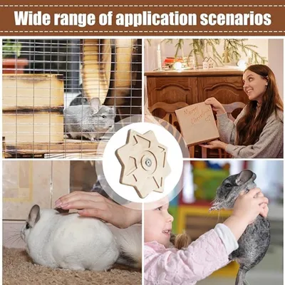 Pet Planet Chinchillas Jouet De Rangement Des Dents