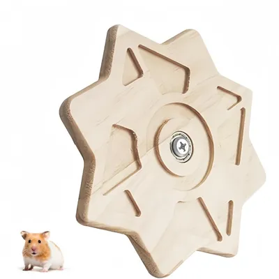 Pet Planet Chinchillas Jouet De Rangement Des Dents