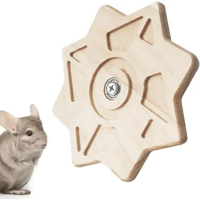 Pet Planet Chinchillas Jouet De Rangement Des Dents