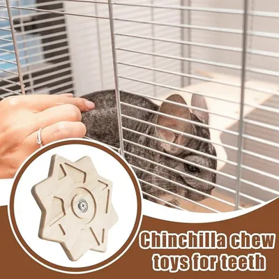 Pet Planet Chinchillas Jouet De Rangement Des Dents
