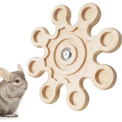 Pet Planet Chinchillas Jouet De Rangement Des Dents