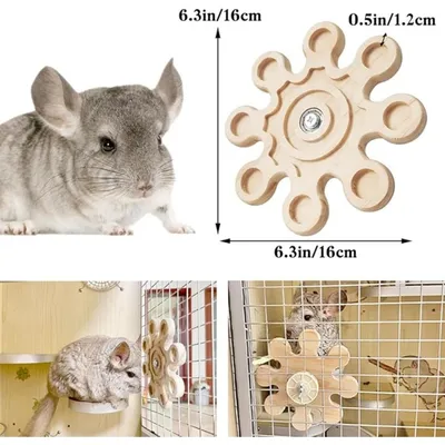 Pet Planet Chinchillas Jouet De Rangement Des Dents
