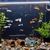 Pet Planet Aquariums Bateau De Décoration En Résine