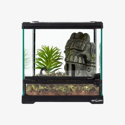 Pet Planet Poissons Décoration Aquarium