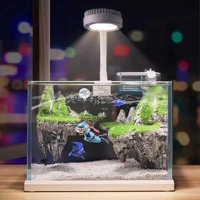 Pet Planet Animaux D'Aquarium Ensemble De Décorations De Sorcière