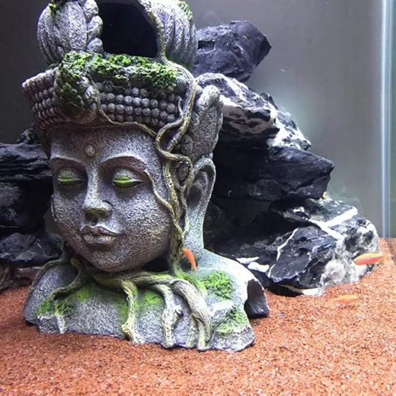Pet Planet Poissons Décoration Aquarium