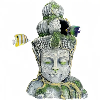 Pet Planet Poissons Décoration Aquarium