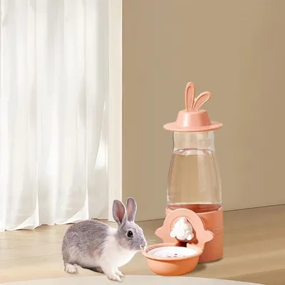 Pet Planet Petits Animaux Biberon D'eau Automatique